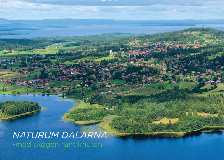 Siljansnäs, Dalarna. Foto: Mikael Svensson