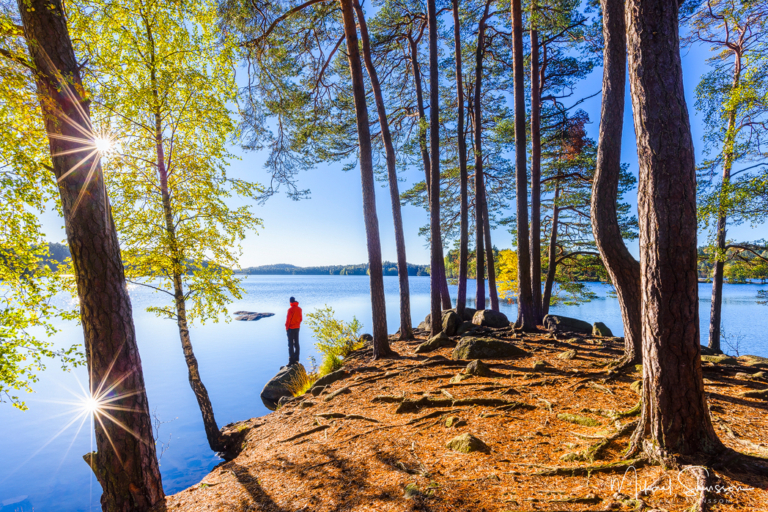 Stora Delsjön, Göteborg. Foto: Mikael Svensson