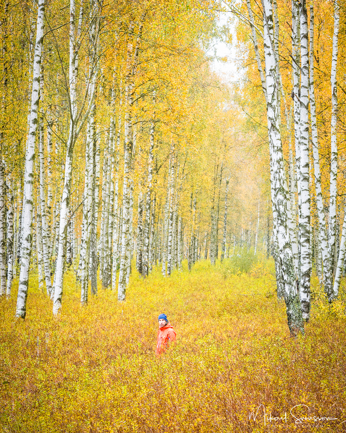 Gunnebo Kulturreservat, Mölndal. Foto: Mikael Svensson