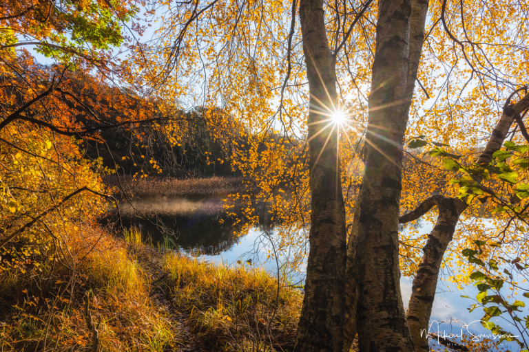 Ståloppet, Mölndal. Foto: Mikael Svensson