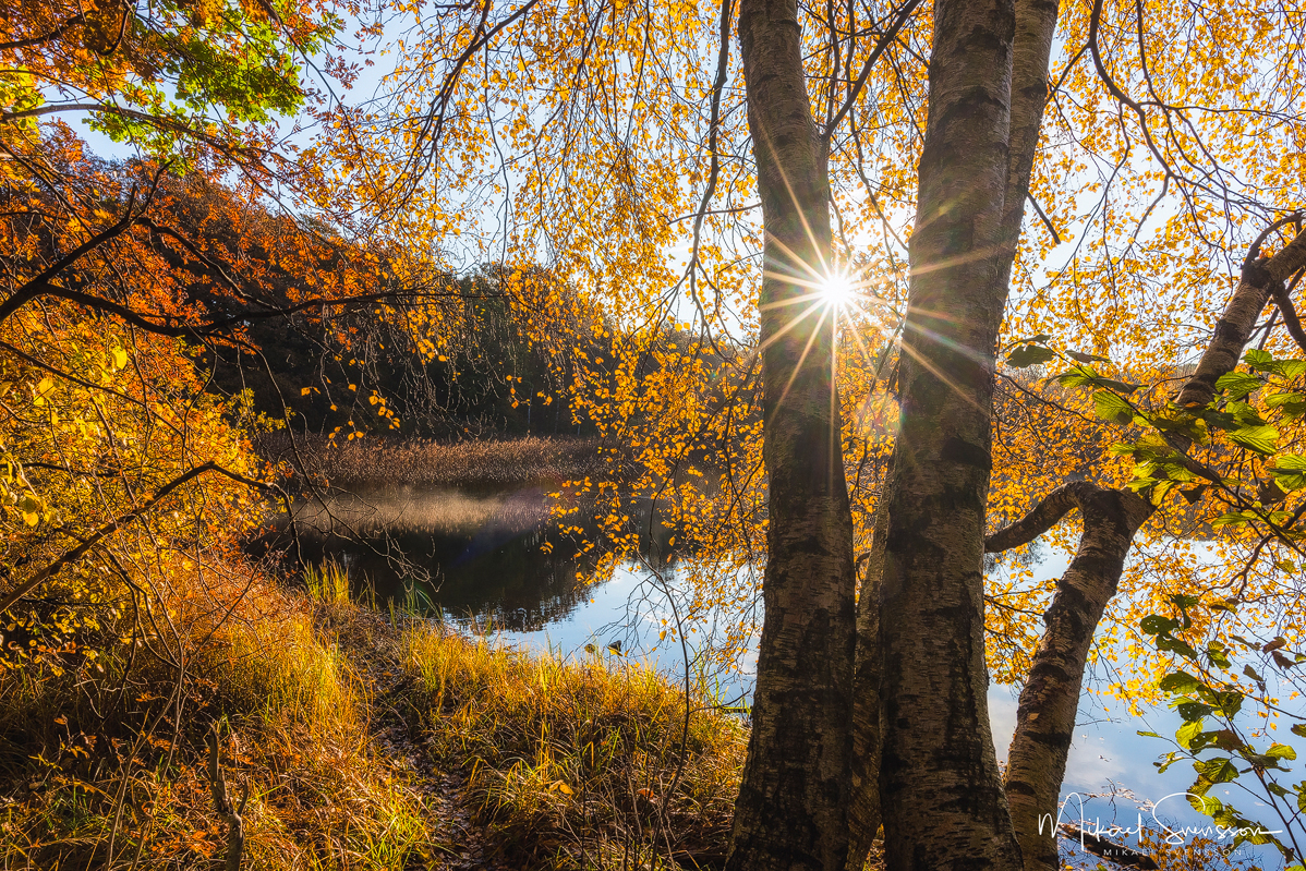 Ståloppet, Mölndal. Foto: Mikael Svensson