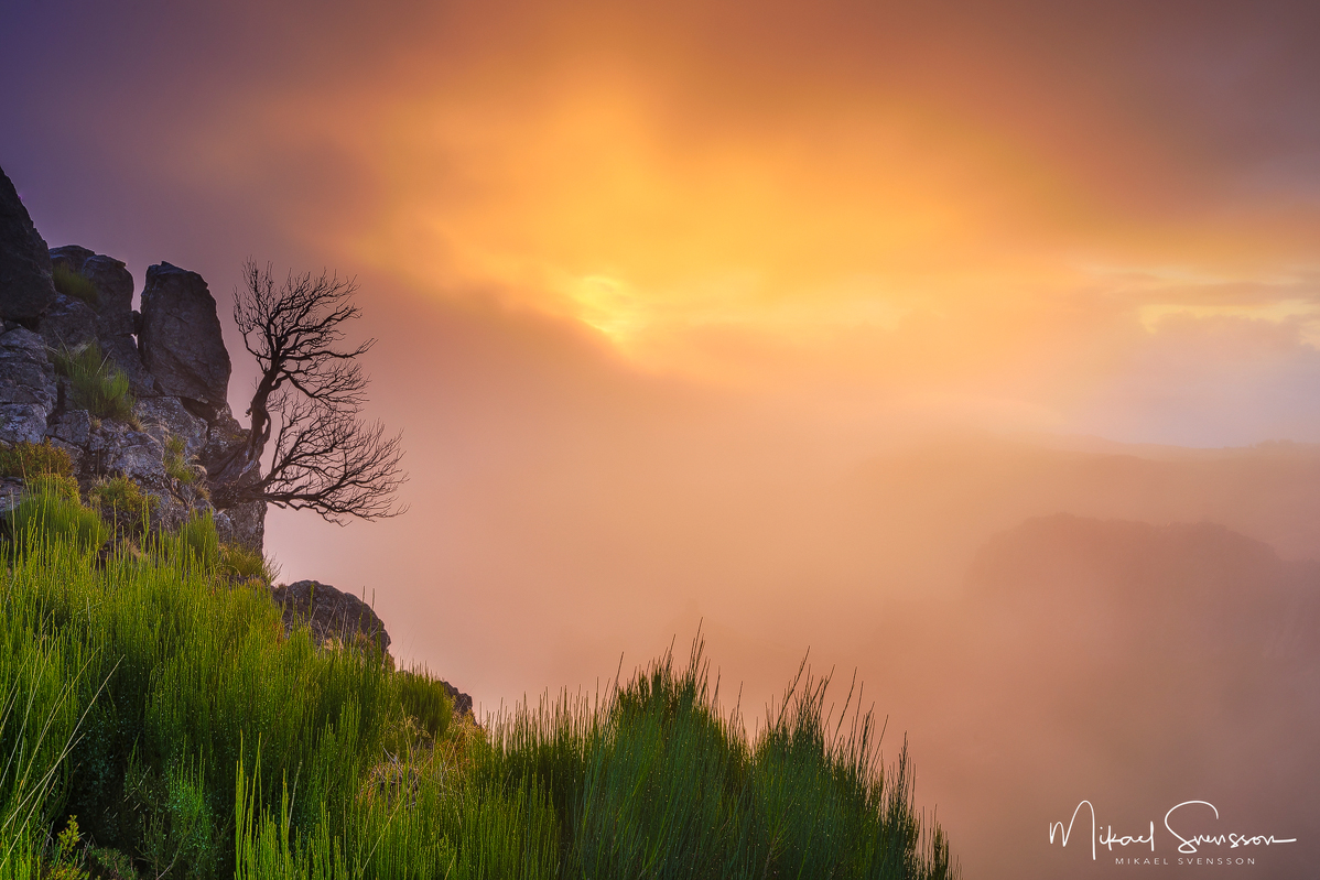 Pico do Arieiro, Madeira. Foto: Mikael Svensson
