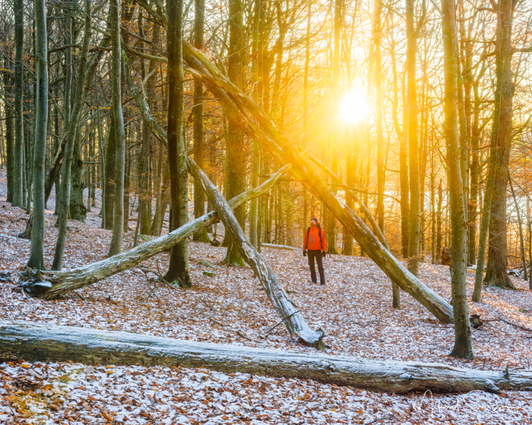 Rådasjön Naturreservat, Härryda kommun.