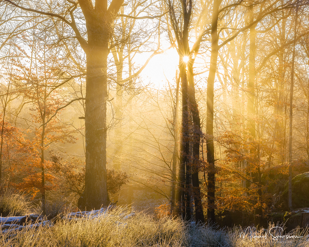 Gunnebo Kulturreservat, Mölndal. Foto: Mikael Svensson