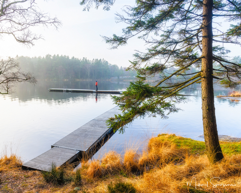 Horsika, Mölndal. Foto: Mikael Svensson