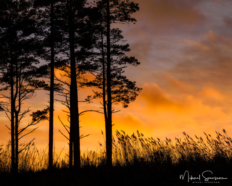 Balltorp, Mölndal. Foto: Mikael Svensson