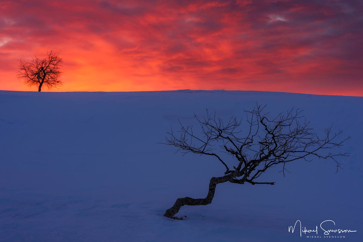 Långfjället, Grövelsjöfjällen, Dalarna.