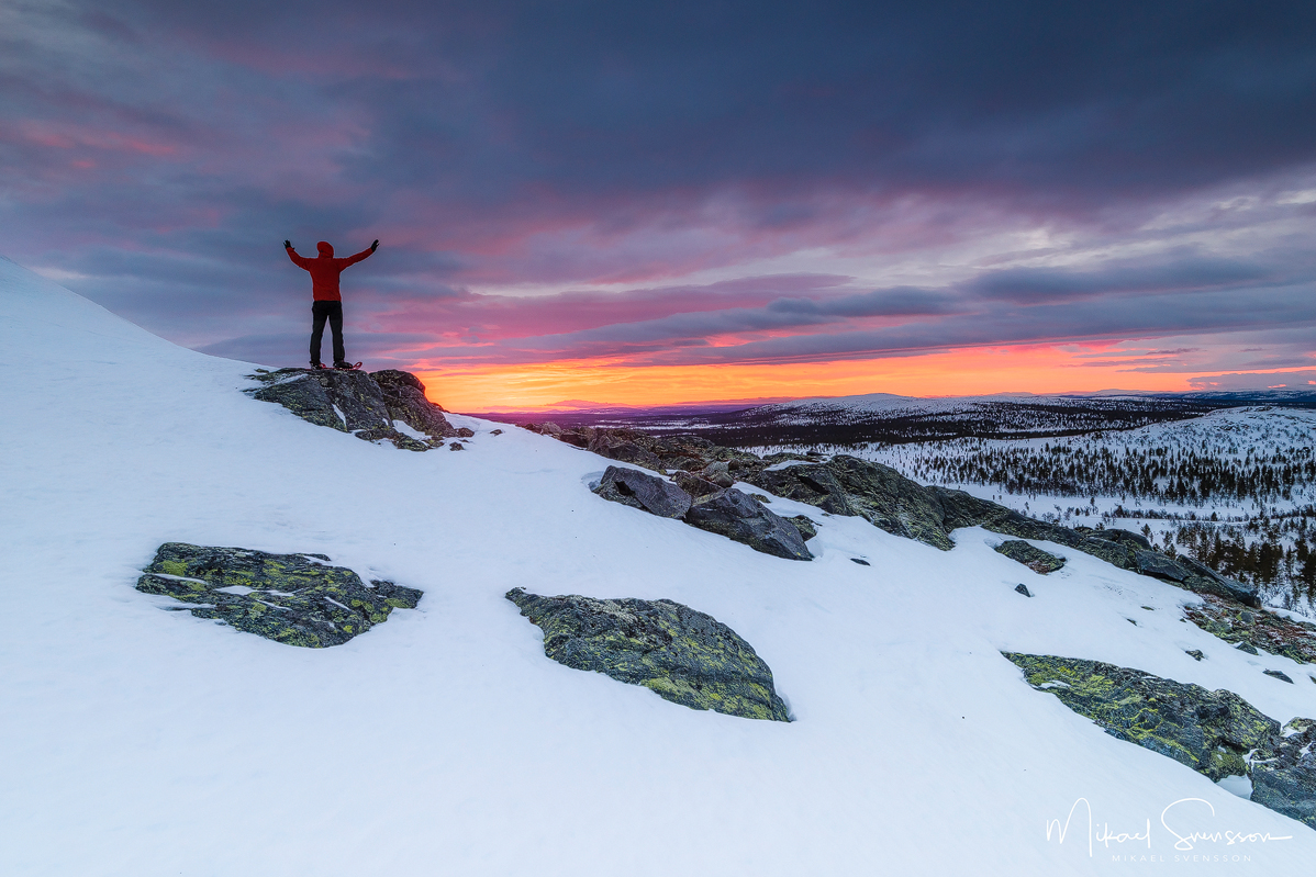 Valdalsfjellet, Hedmark fylke, Norge. Foto: Mikael Svensson