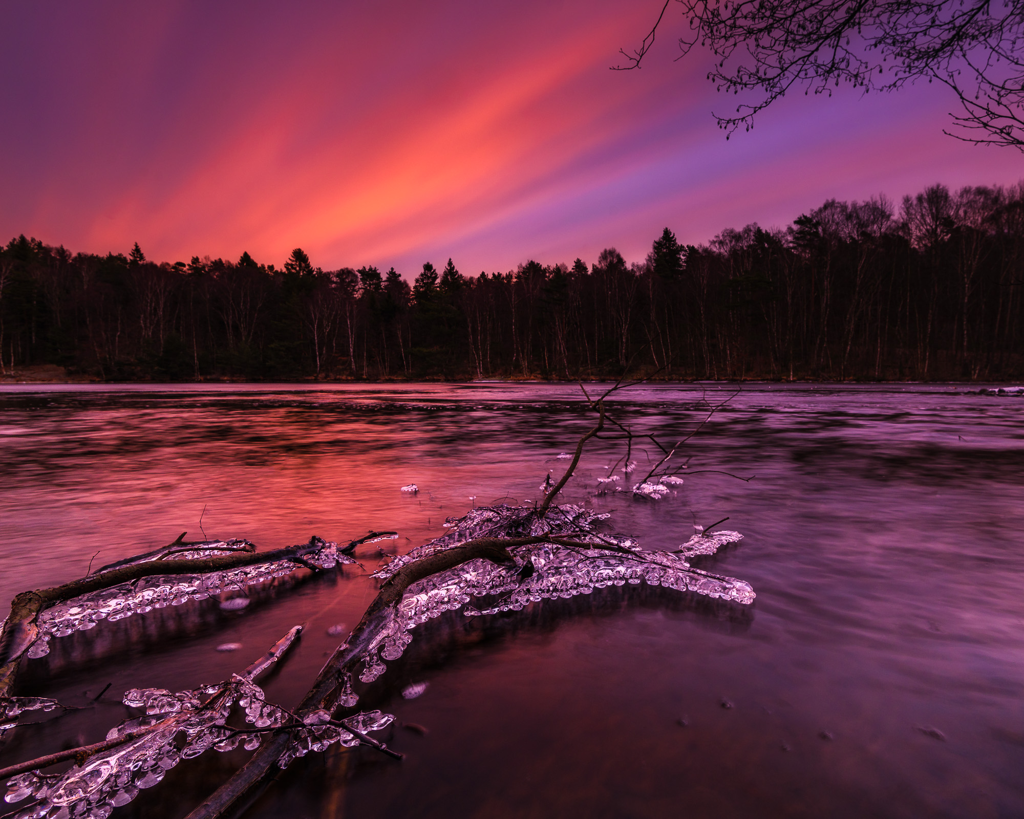 Gryning vid Stora Delsjön, Göteborg. Foto: Mikael Svensson