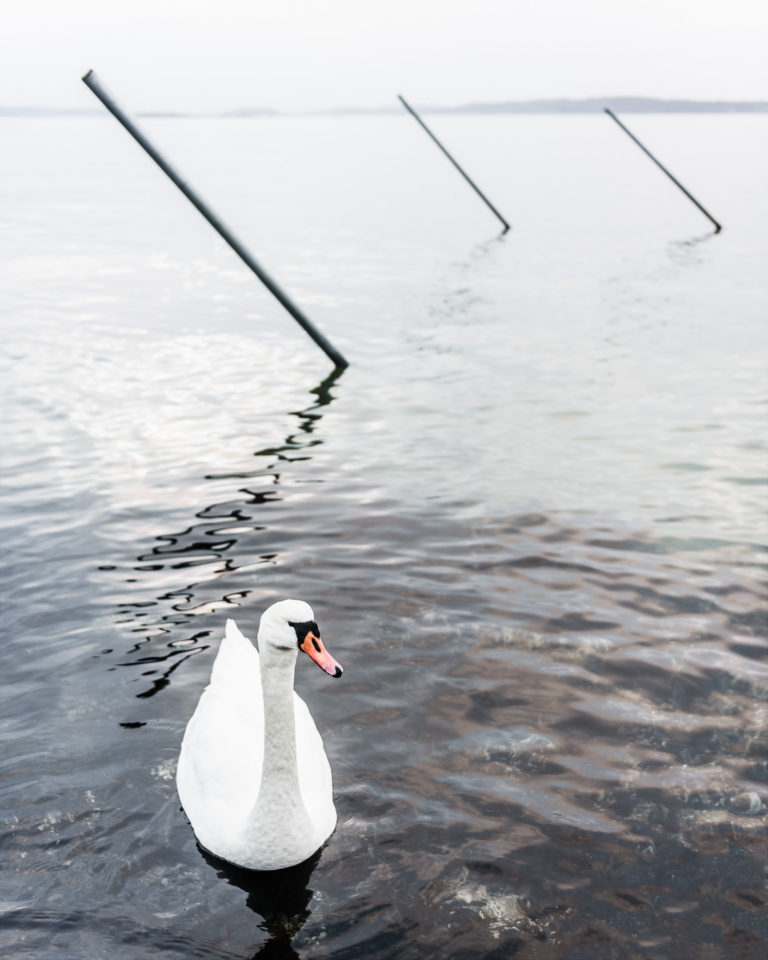 Fiskebäck, Göteborg. Foto: Mikael Svensson www.mikaelsvensson.com