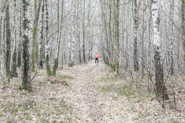 Delsjöområdet, Göteborg. Foto: Mikael Svensson, www.mikaelsvensson.com