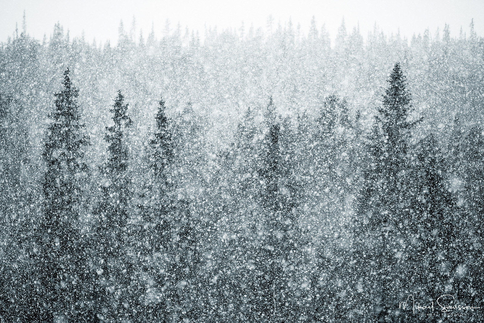 Storsätern, Dalarna. Foto: Mikael Svensson