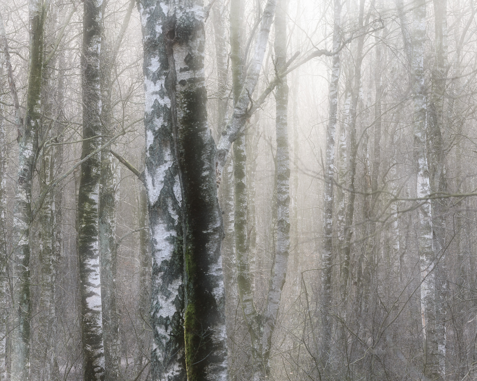 Delsjöområdet, Göteborg. Foto: Mikael Svensson, www.mikaelsvensson.com