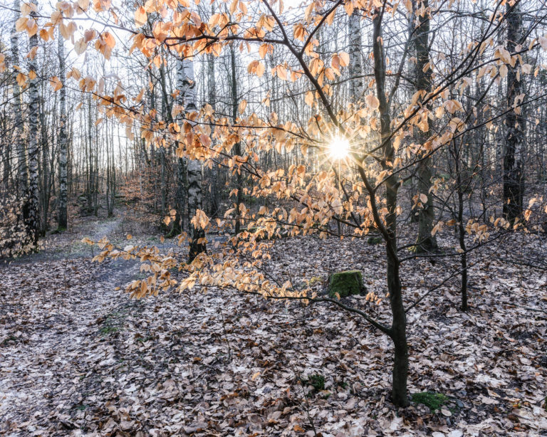 Delsjöområdet, Göteborg.