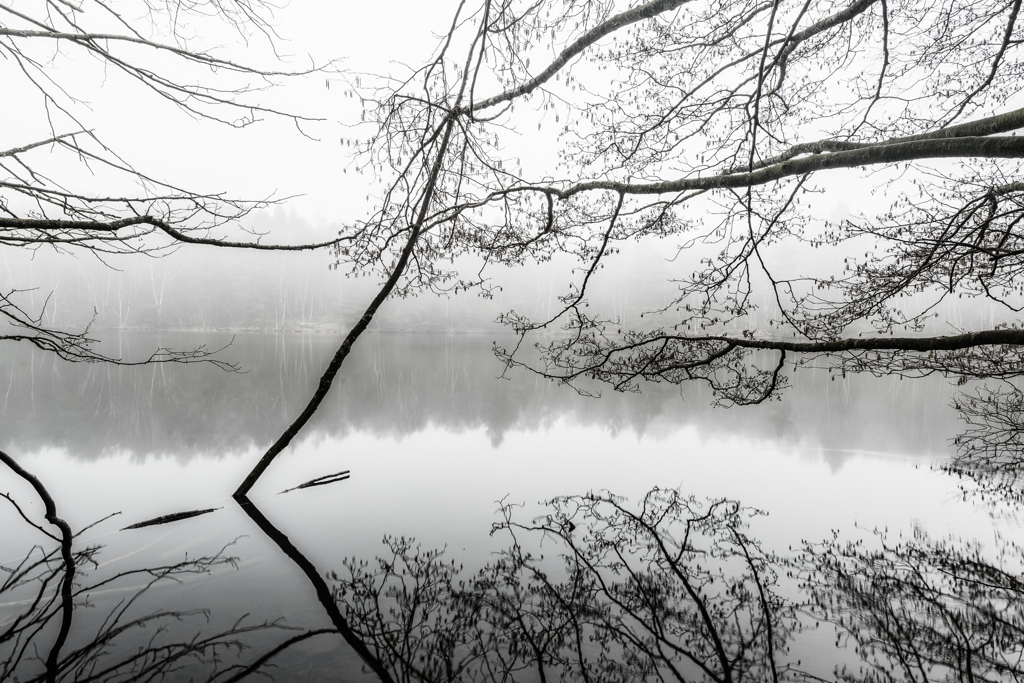 Stora Delsjön, Göteborg. Foto: Mikael Svensson, www.mikaelsvensson.com