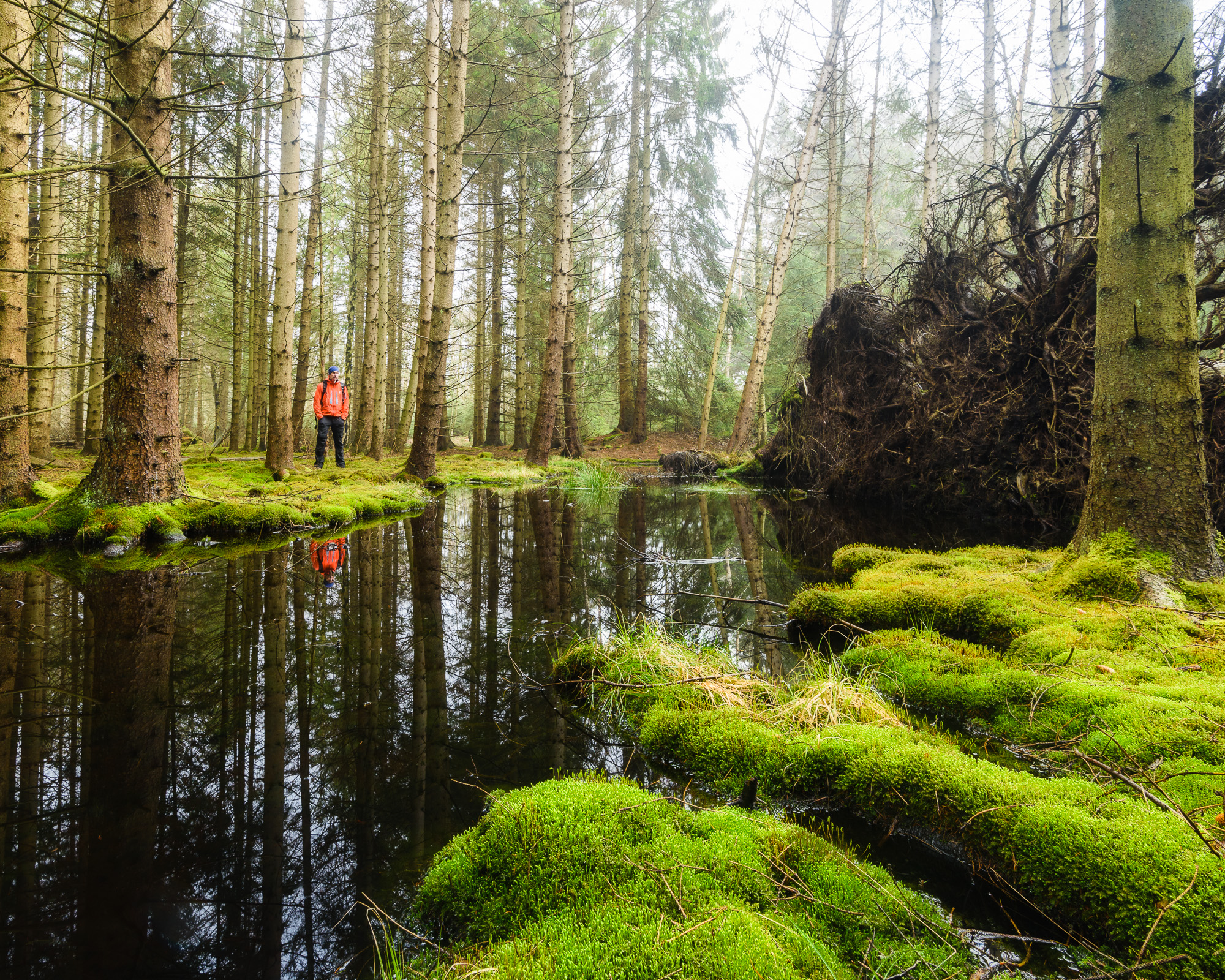 Mölndal. Foto: Mikael Svensson, www.mikaelsvensson.com