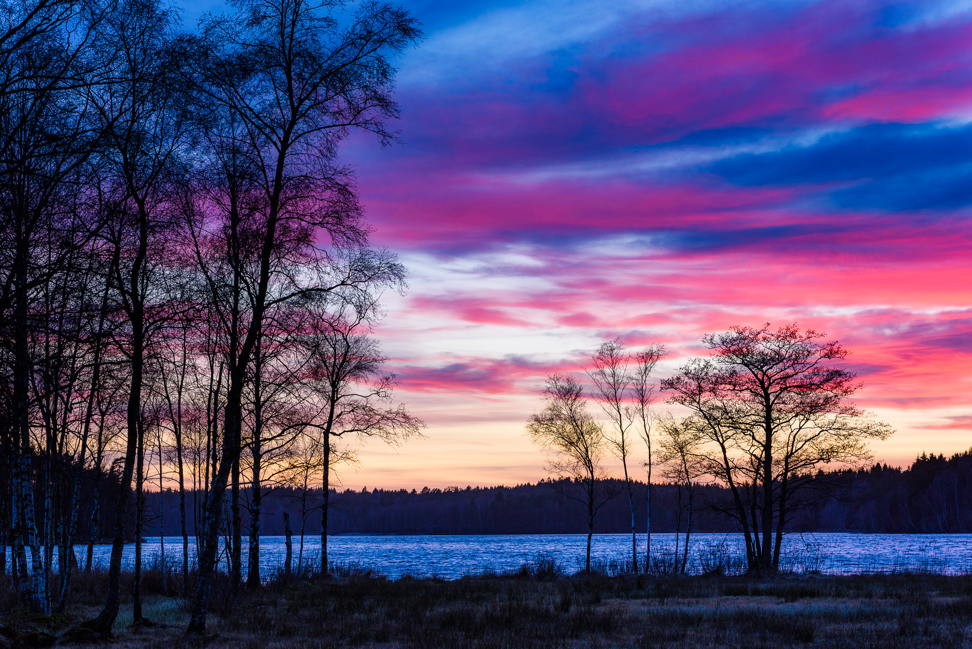 Lilla Delsjön, Delsjöområdet. Foto: Mikael Svensson, www.mikaelsvensson.com