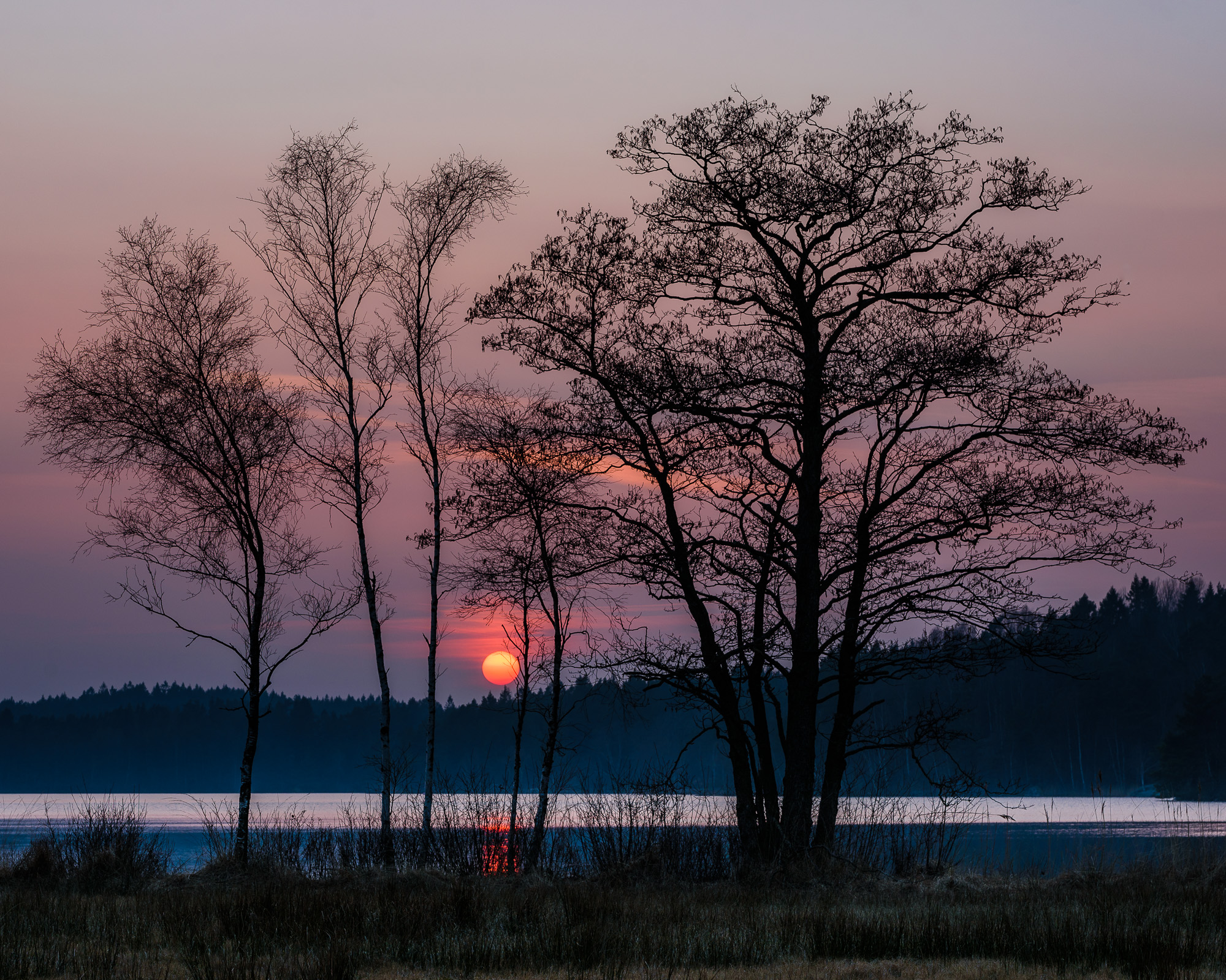 Lilla Delsjön, Delsjöområdet. Foto: Mikael Svensson, www.mikaelsvensson.com