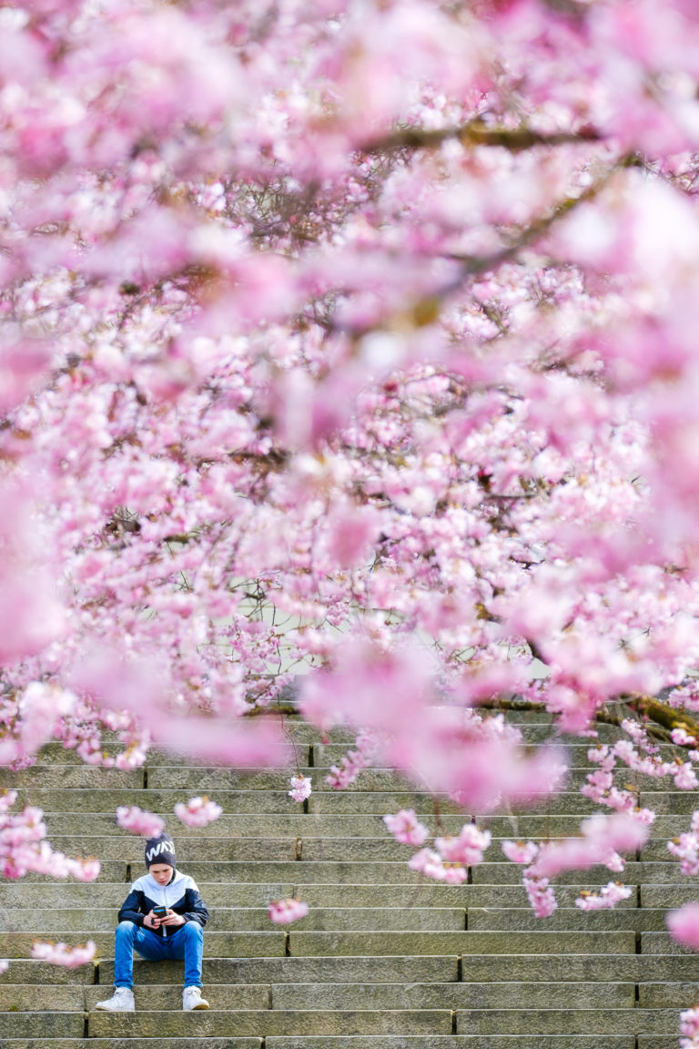 Annedal, Göteborg. Foto: Mikael Svensson, www.mikaelsvensson.com