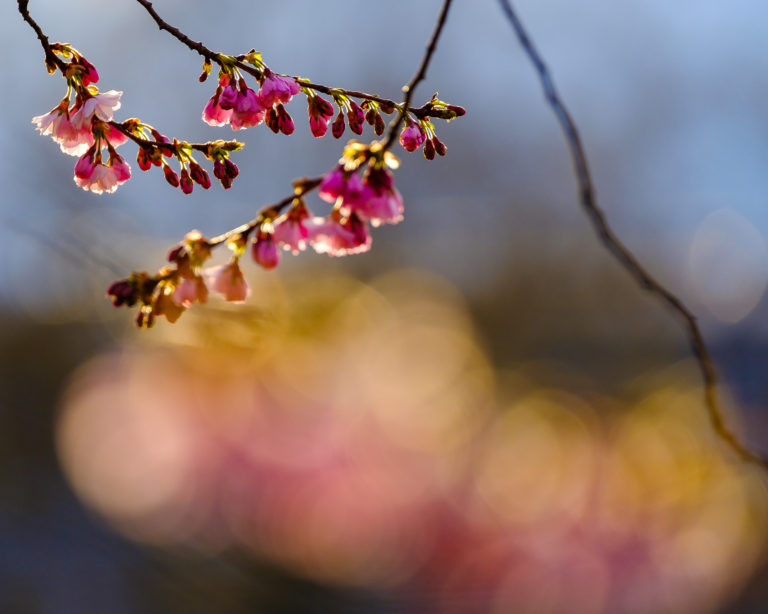 Åbro, Mölndal. Foto: Mikael Svensson, www.mikaelsvensson.com