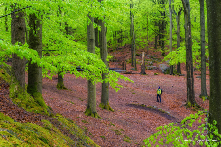Delsjöområdet, Göteborg. Foto: Mikael Svensson, www.mikaelsvensson.com