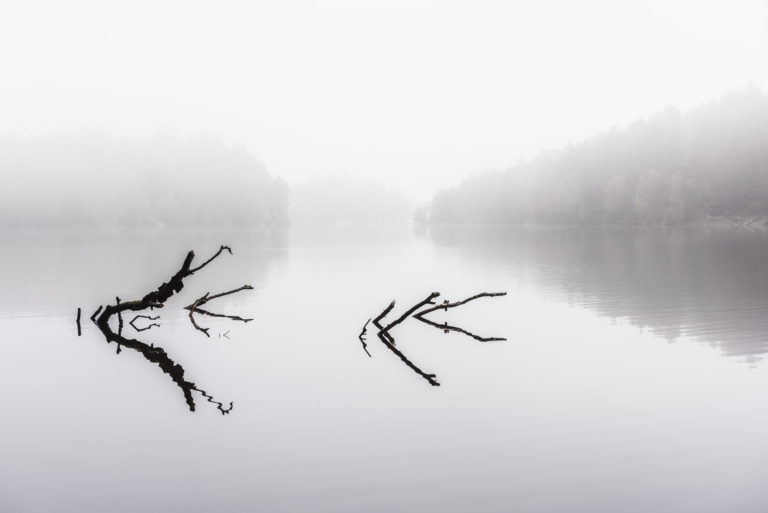 Stora Delsjön, Göteborg. Foto: Mikael Svensson, www.mikaelsvensson.com