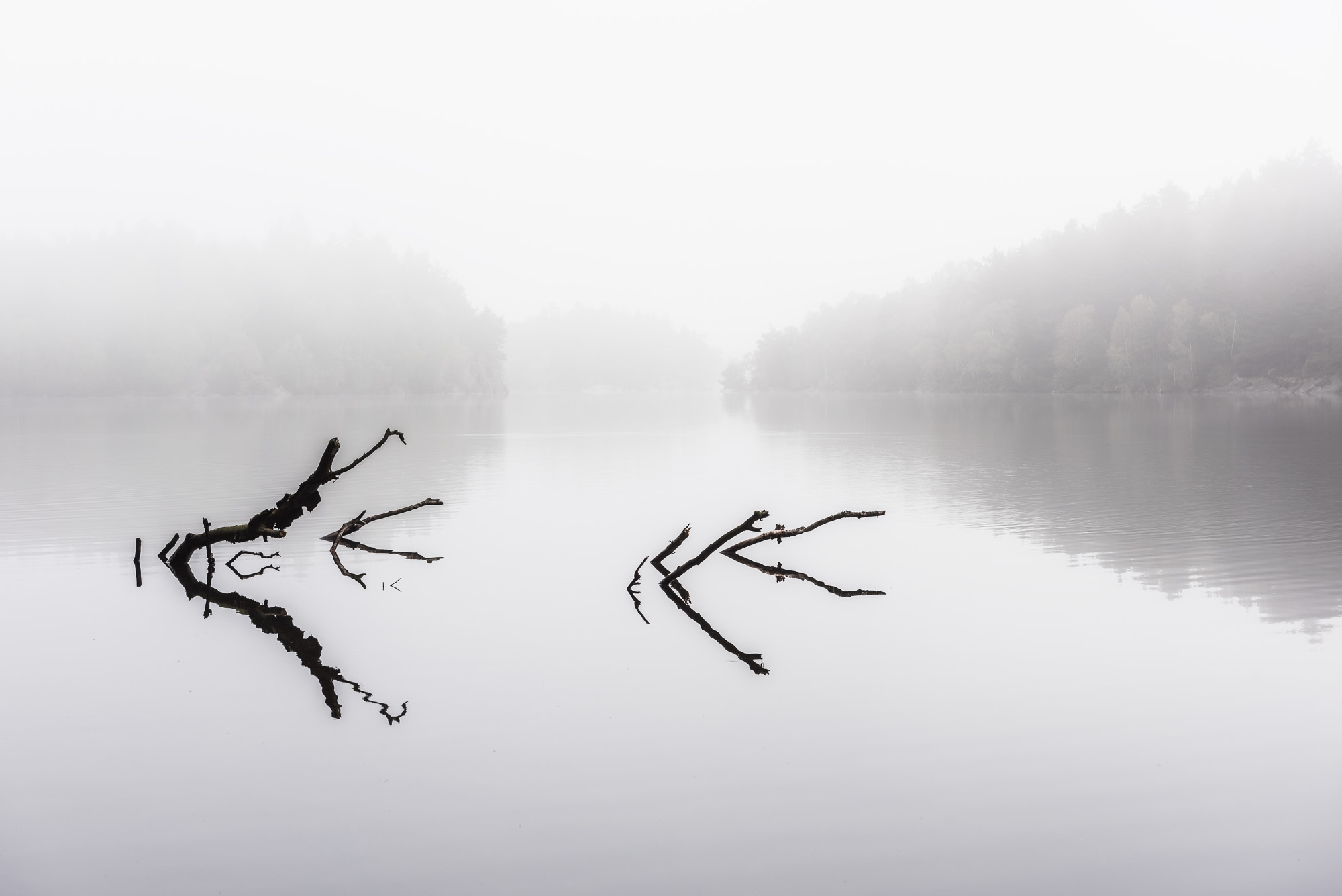 Stora Delsjön, Göteborg. Foto: Mikael Svensson, www.mikaelsvensson.com