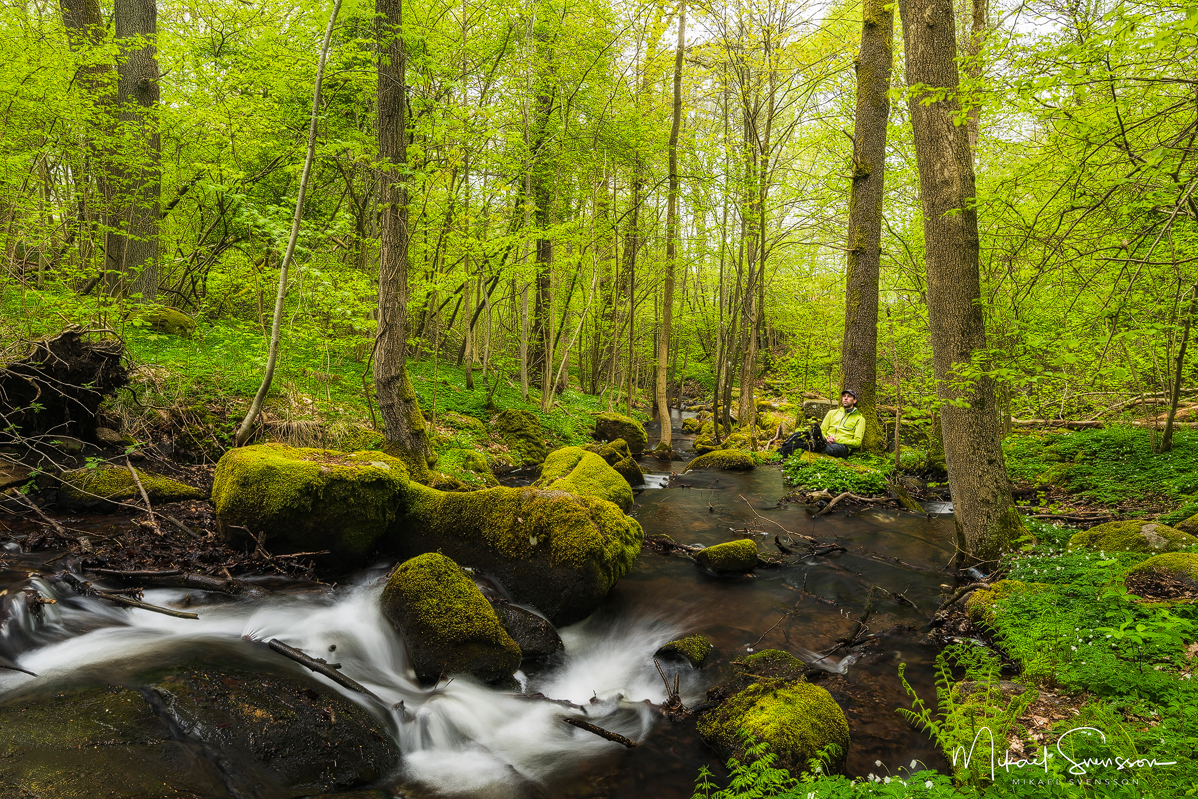 Delsjöbäcken, Göteborg. Foto: Mikael Svensson, www.mikaelsvensson.com