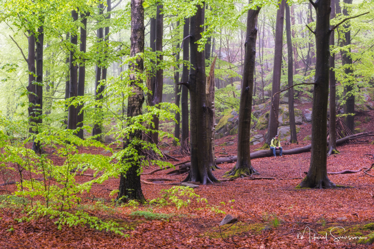 Svejserdalen, Mölndal Svejserdalen, Mölndal. Foto: Mikael Svensson, www.mikaelsvensson.com