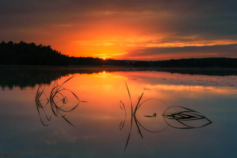 Virken, Åtvidaberg. Foto: Mikael Svensson