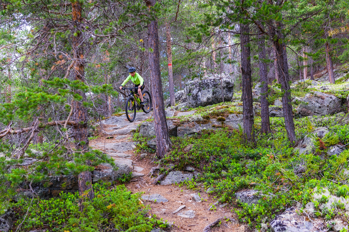 Aura, Bismo, Norge. Foto: Mikael Svensson, www.mikaelsvensson.com