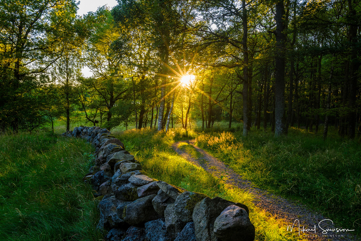 Sandsjöbacka, Mölndal. Foto: Mikael Svensson, www.mikaelsvensson.com