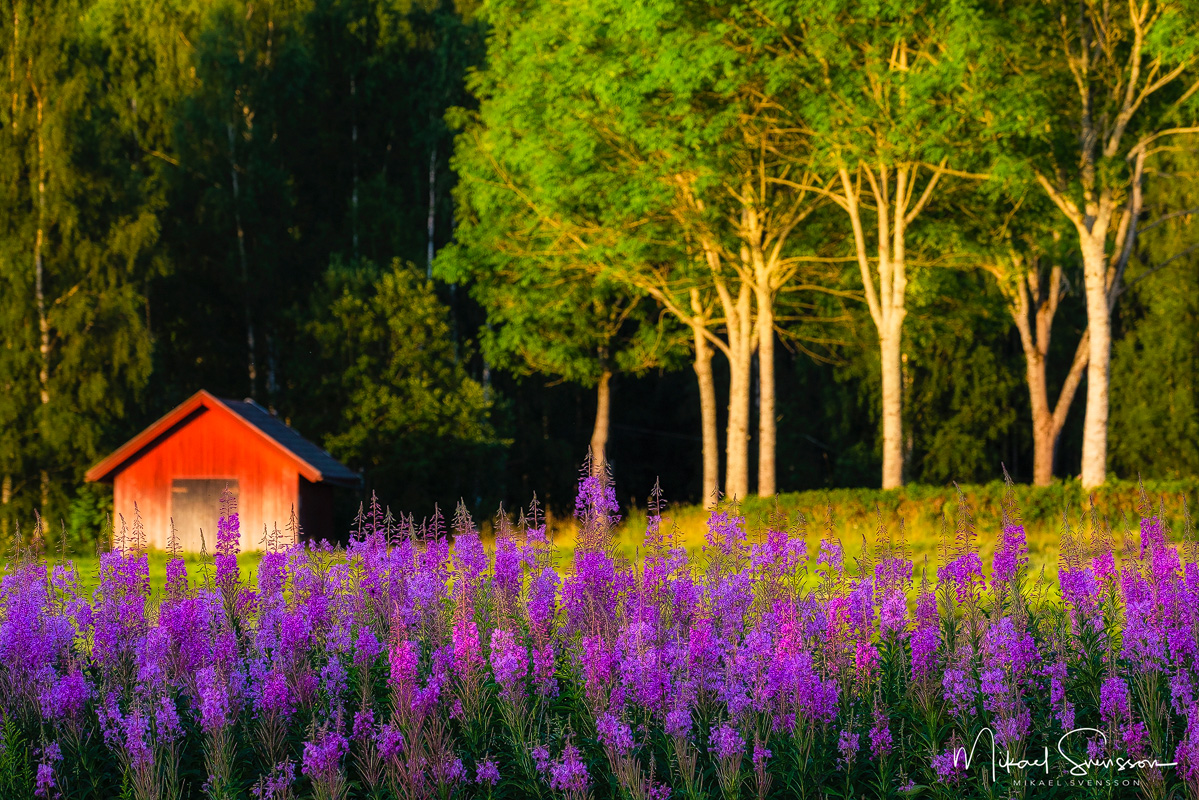 Åmotsfors, Värmland. Foto: Mikael Svensson, www.mikaelsvensson.com