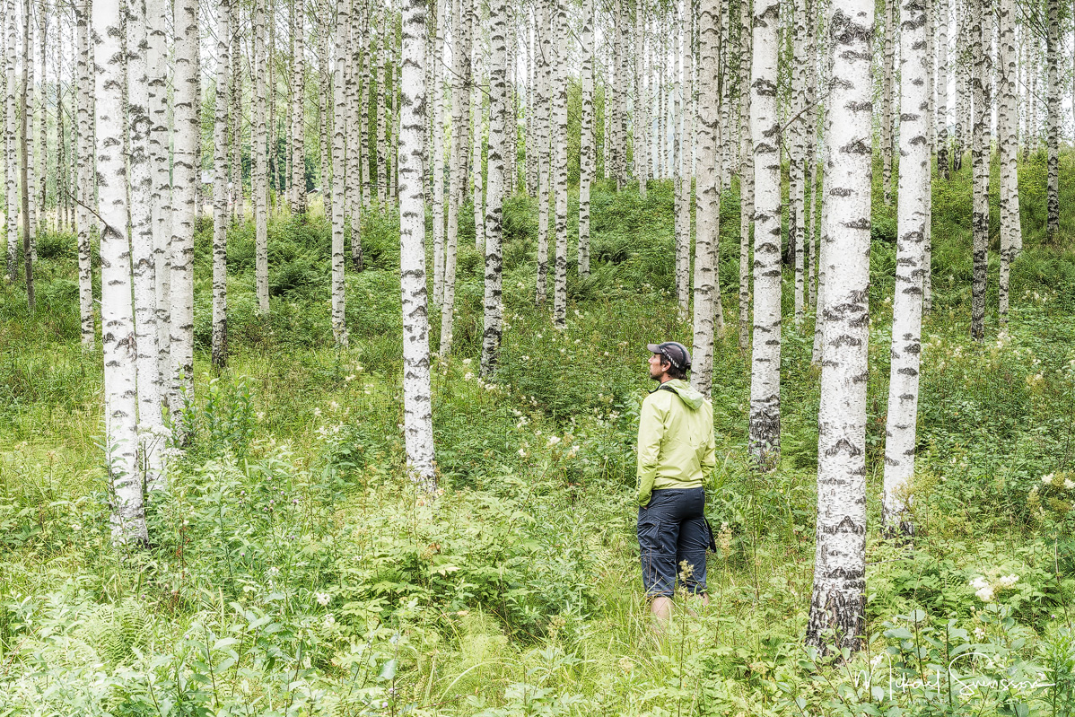 Åmotsfors, Värmland. Foto: Mikael Svensson, www.mikaelsvensson.com