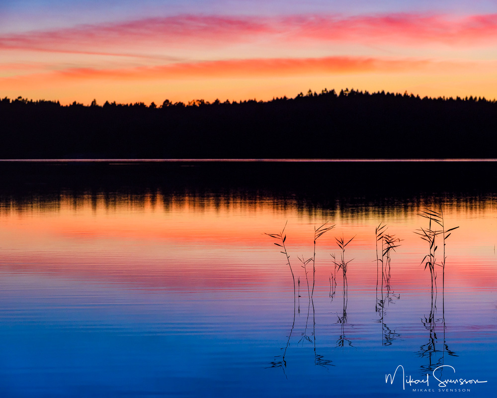 Lilla Delsjön, Göteborg. Foto: Mikael Svensson, www.mikaelsvensson.com