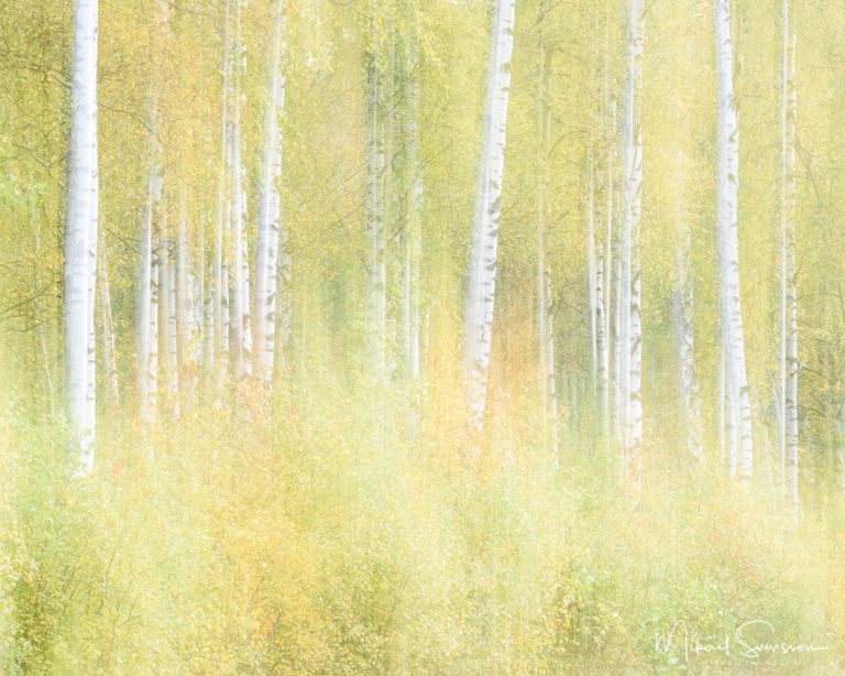 Gunnebo Kulturreservat, Mölndal. Foto: Mikael Svensson, www.mikaelsvensson.com