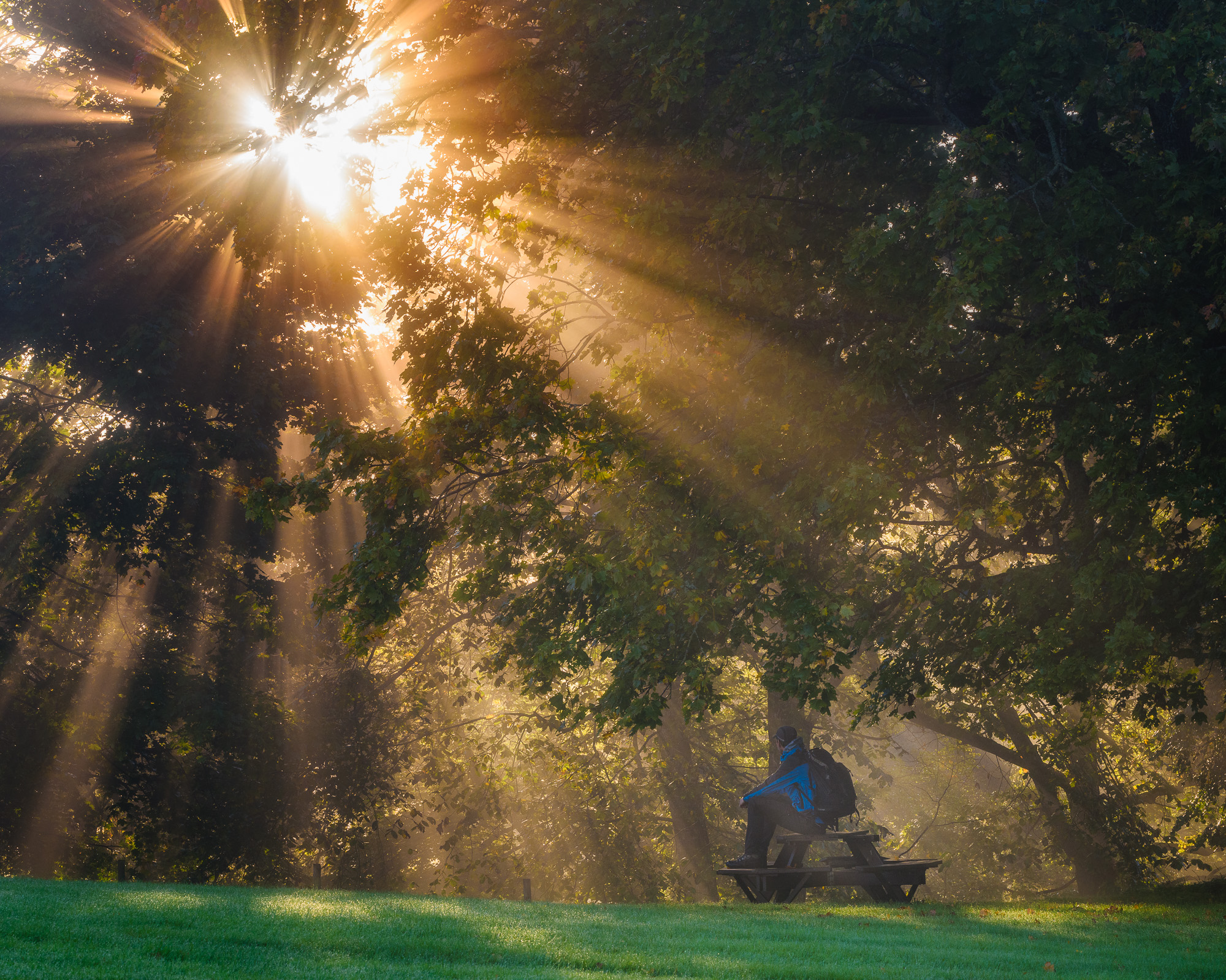 Jonsered Trädgårdar, Partille kommun. Foto: Mikael Svensson, www.mikaelsvensson.com