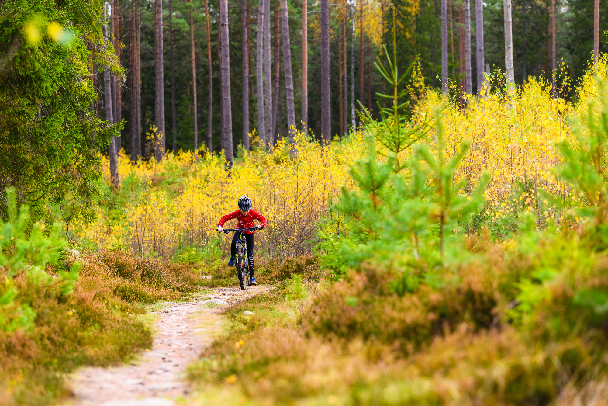 Isaberg, Småland. Foto: Mikael Svensson, www.mikaelsvensson.com