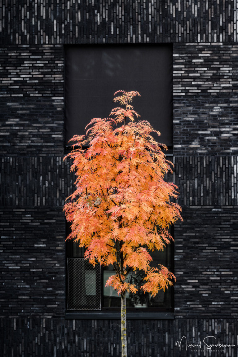 Örgryte Torp, Göteborg. Foto: Mikael Svensson, www.mikaelsvensson.com