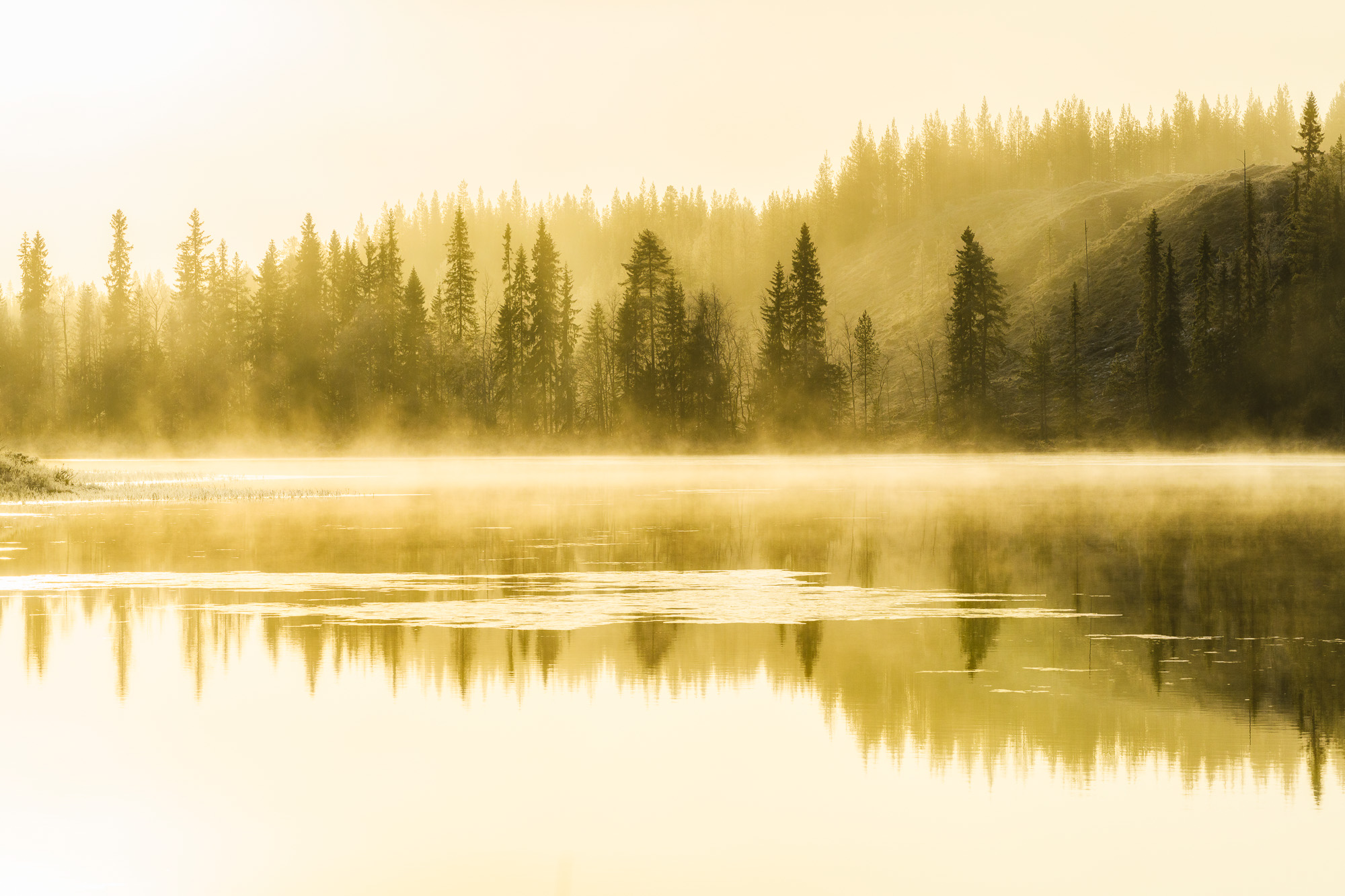 Österdalälven, Dalarna. Foto: Mikael Svensson, www.mikaelsvensson.com