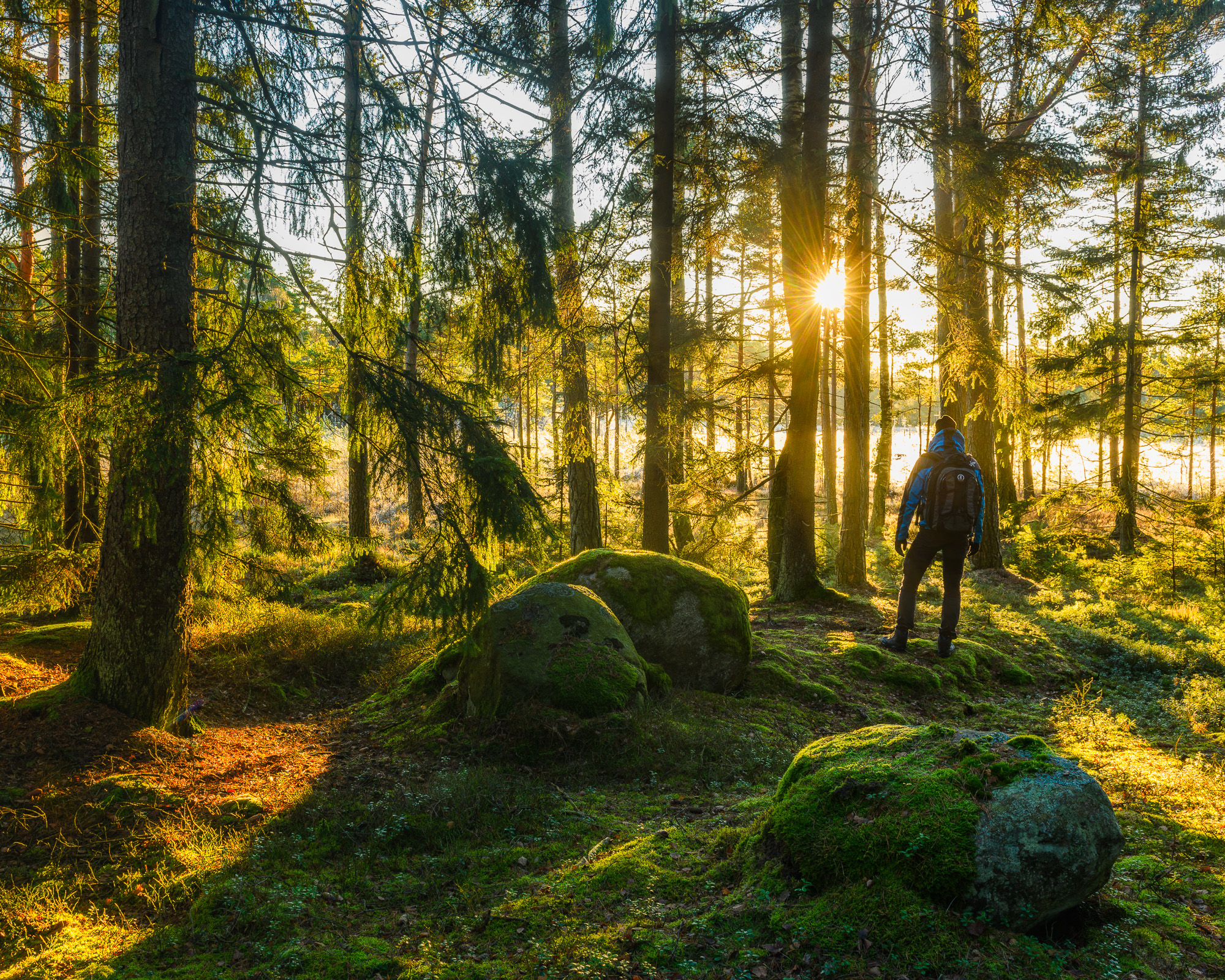 Maderna, Partille kommun. Foto: Mikael Svensson, www.mikaelsvensson.com
