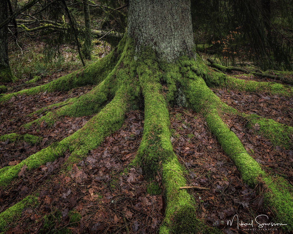 Pixbo, Mölndal. Foto: Mikael Svensson, www.mikaelsvensson.co