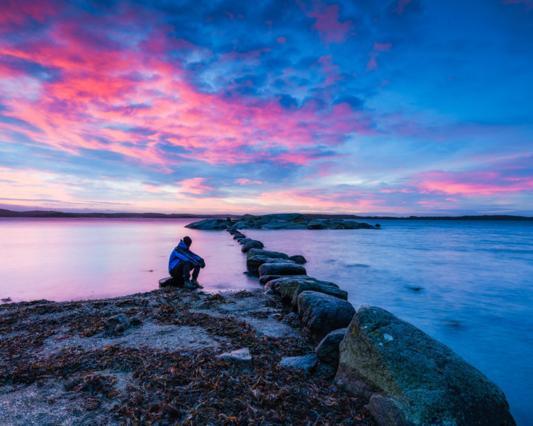 Särö Västerskog Naturreservat, Halland. Foto: Mikael Svensson, www.mikaelsvensson.com