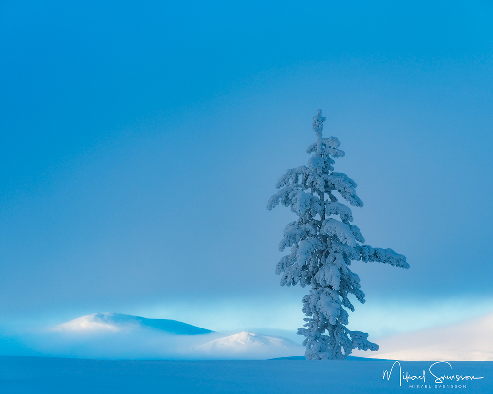 Grövelsjöfjällen, Dalarna. Foto: Mikael Svensson, www.mikaelsvensson.com