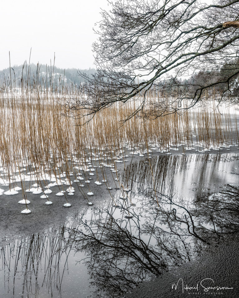 Landvettersjön, Härryda kommun. Foto: Mikael Svensson, www.mikaelsvensson.com
