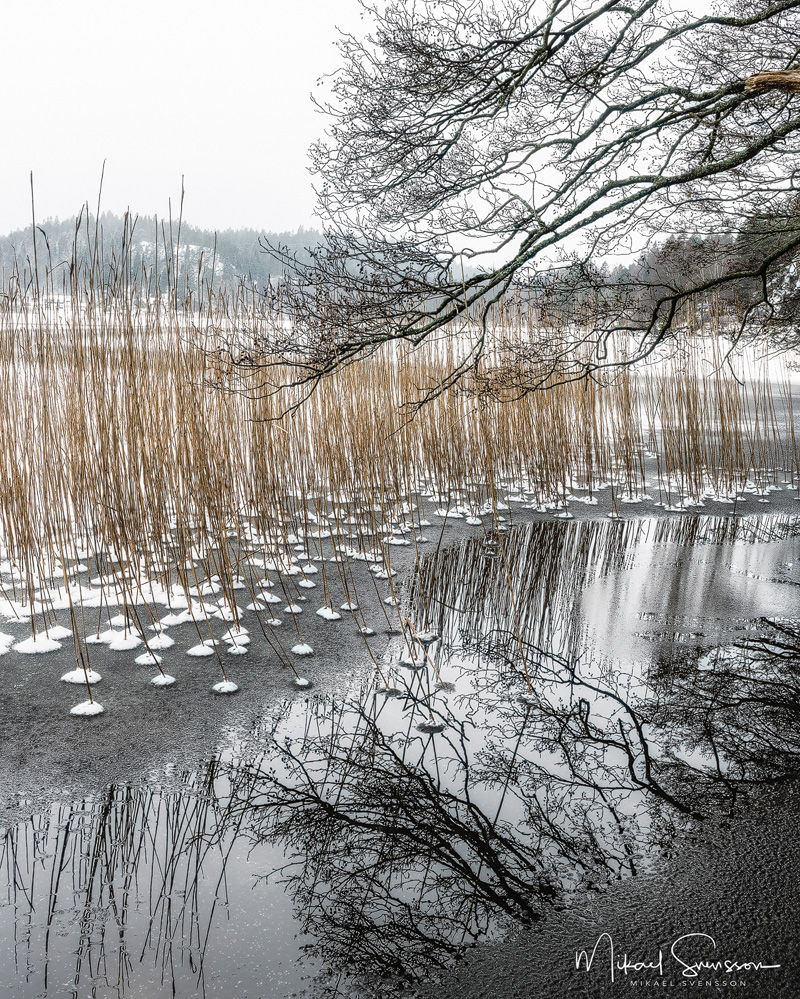 Landvettersjön, Härryda kommun. Foto: Mikael Svensson, www.mikaelsvensson.com