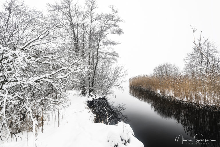 Mölndalsån, Härryda kommun. Foto: Mikael Svensson, www.mikaelsvensson.com
