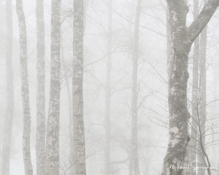 Smithska udden, Göteborg. Foto: Mikael Svensson, www.mikaelsvensson.com