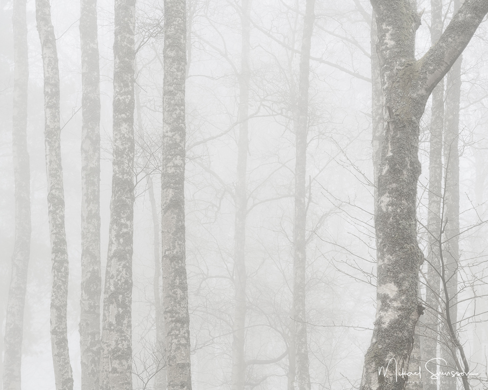 Smithska udden, Göteborg. Foto: Mikael Svensson, www.mikaelsvensson.com