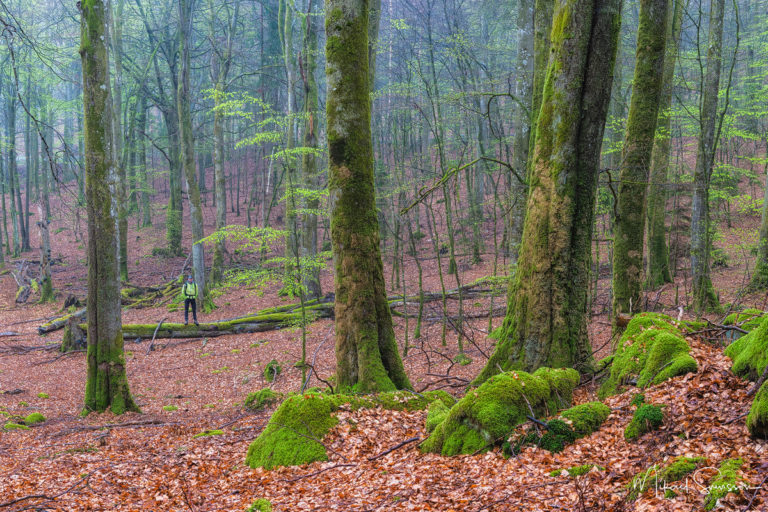 Gäddevik Naturreservat, Kungsbacka kommun. Foto: Mikael Svensson, www.mikaelsvensson.com